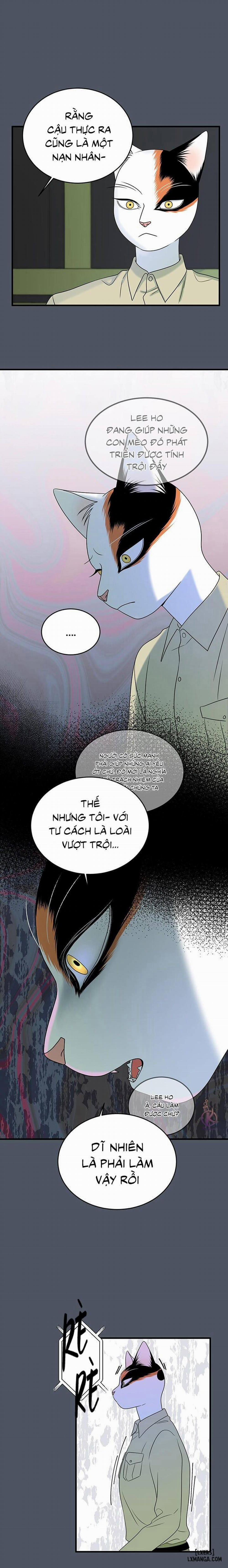 Dự án xanh 39 trang 15