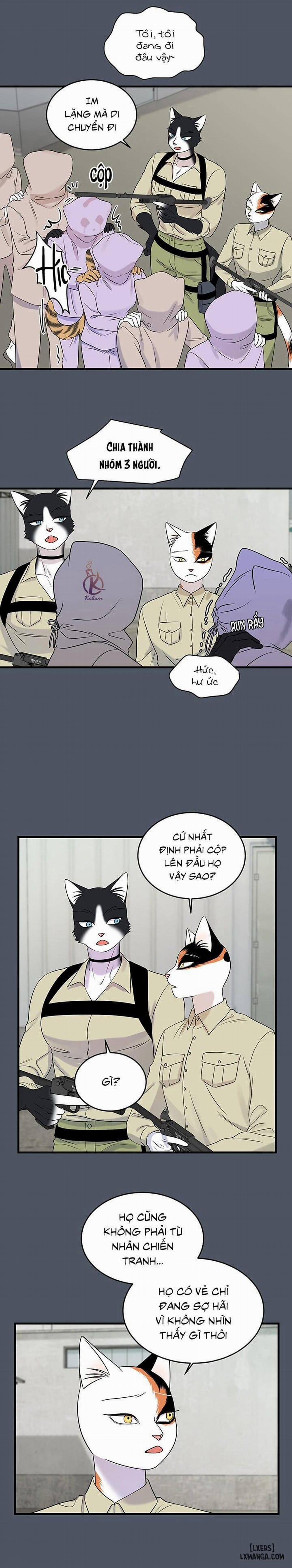 Dự án xanh 39 trang 7