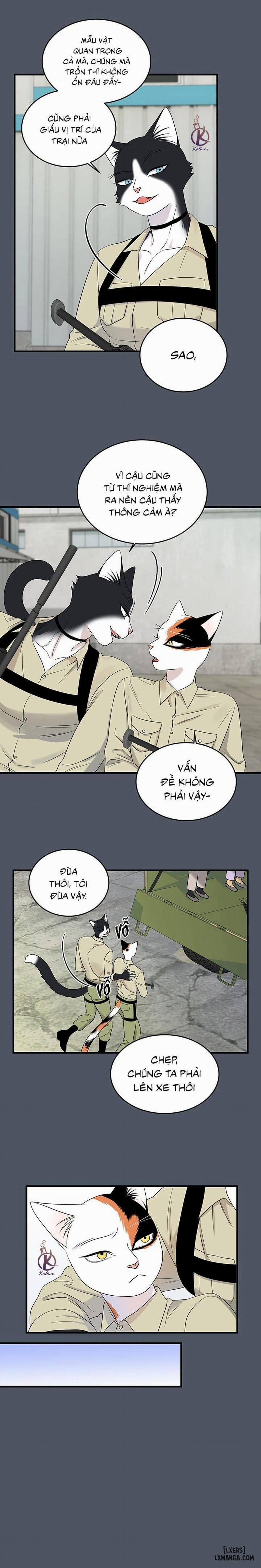 Dự án xanh 39 trang 8