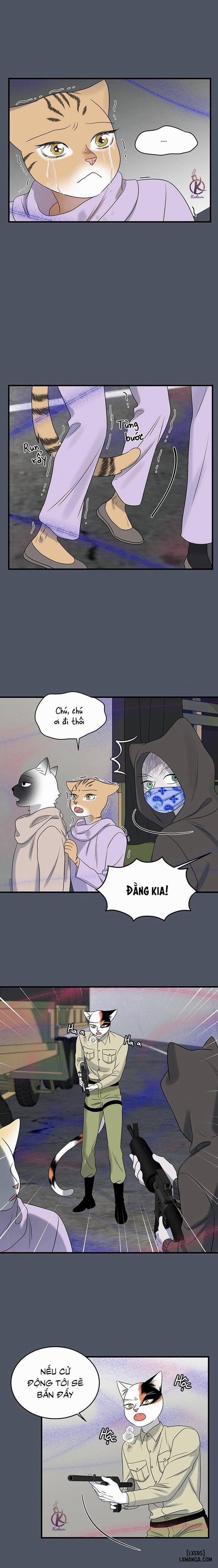 Dự án xanh 40 trang 10