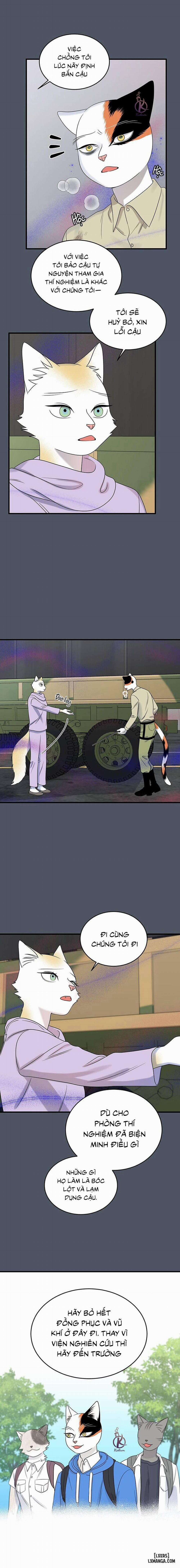 Dự án xanh 40 trang 12