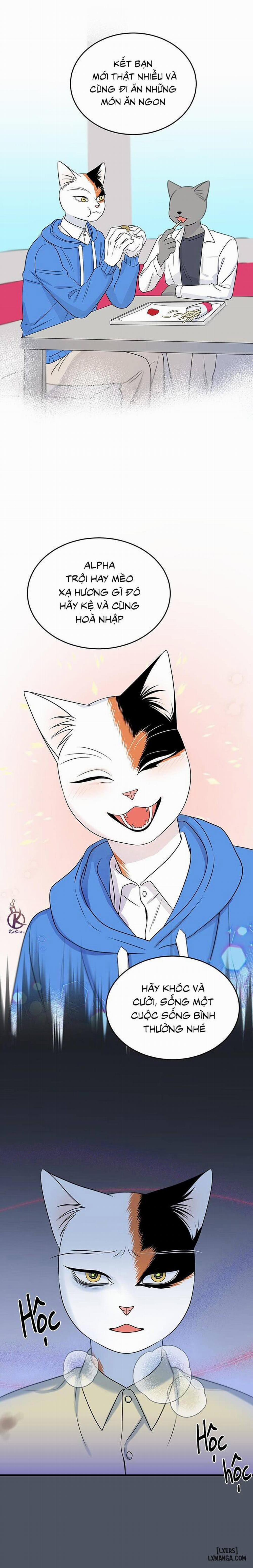 Dự án xanh 40 trang 13