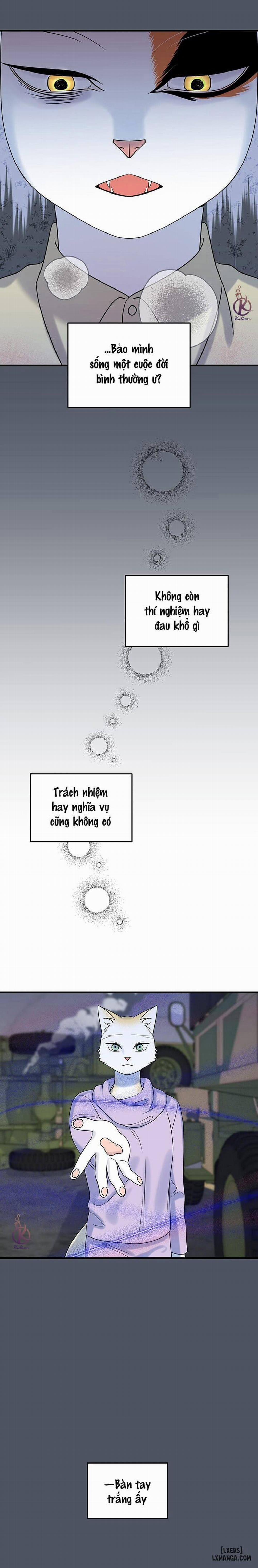 Dự án xanh 40 trang 14