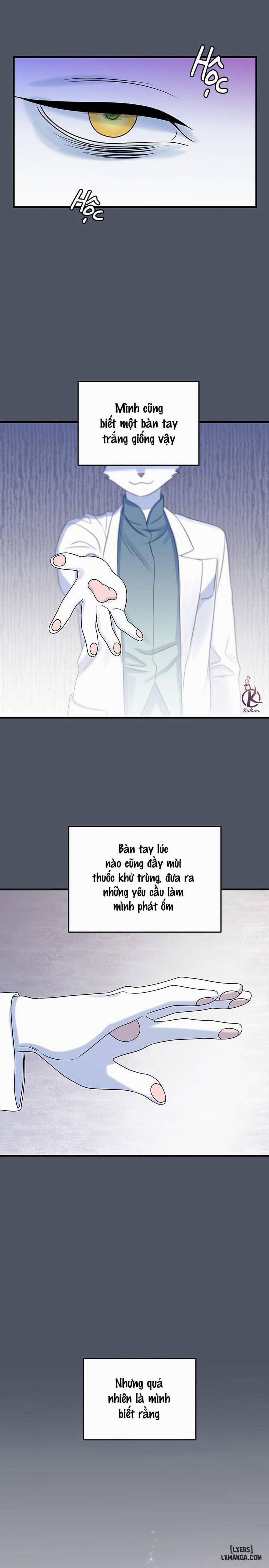 Dự án xanh 40 trang 15