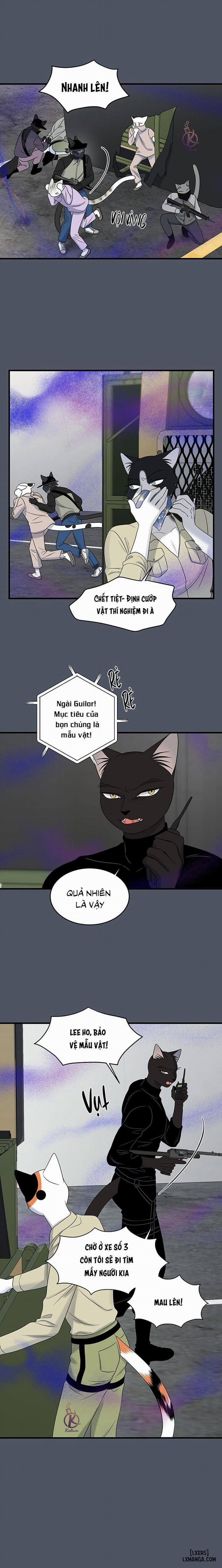 Dự án xanh 40 trang 4