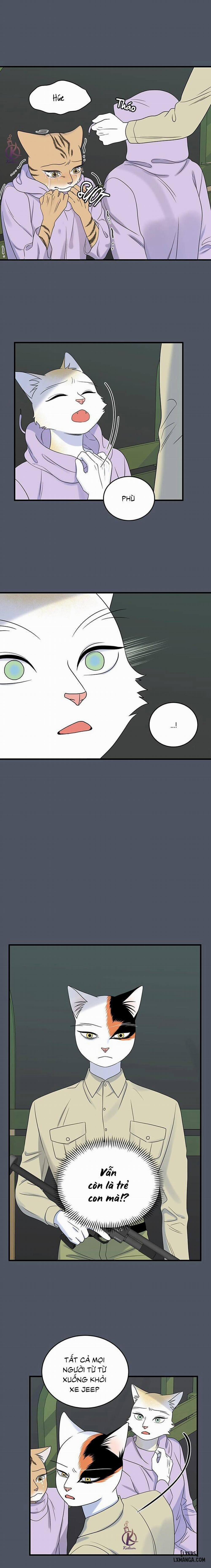 Dự án xanh 40 trang 6