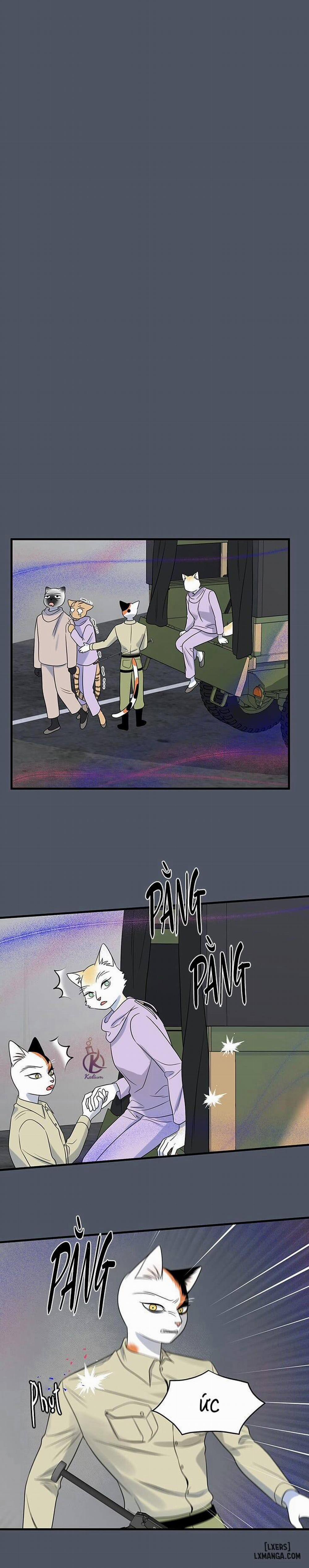 Dự án xanh 40 trang 7