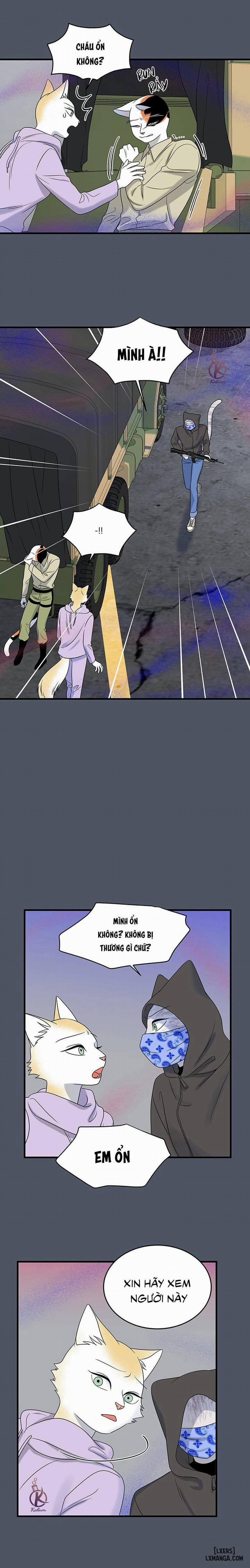 Dự án xanh 40 trang 8