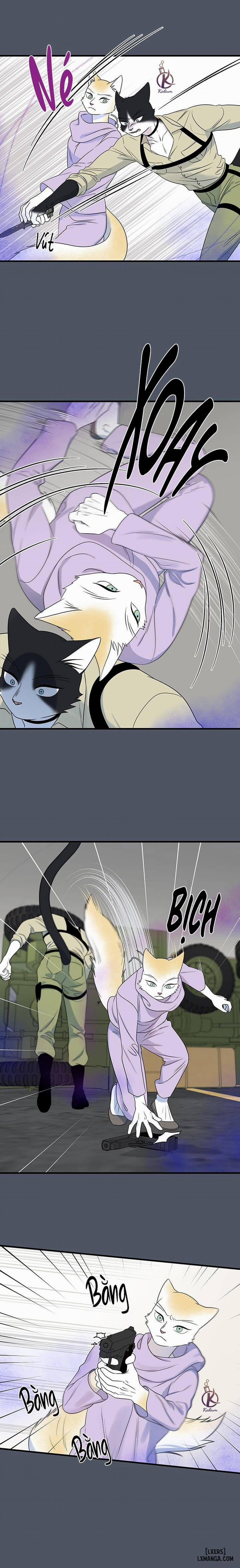 Dự án xanh 41 trang 10