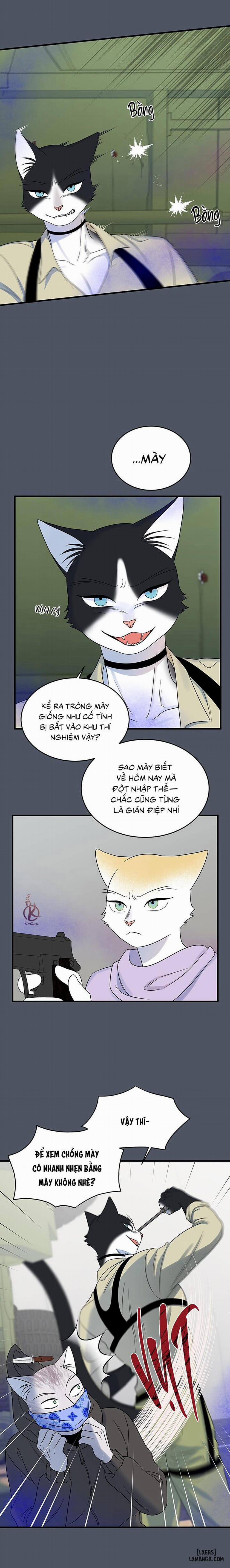 Dự án xanh 41 trang 11