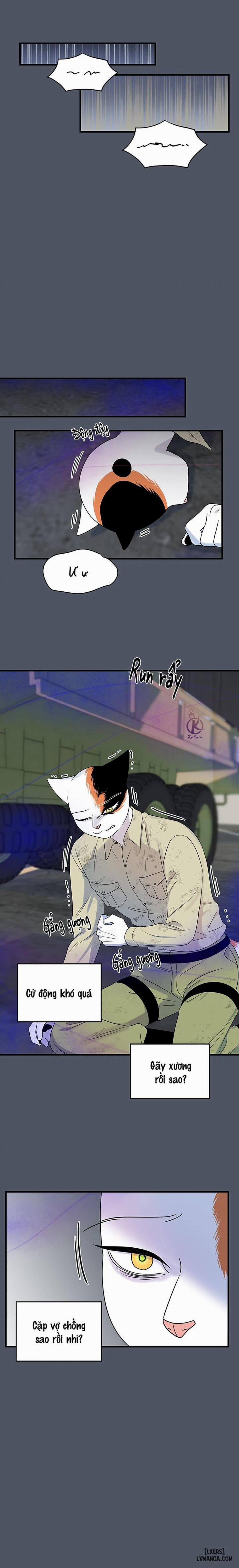 Dự án xanh 41 trang 13