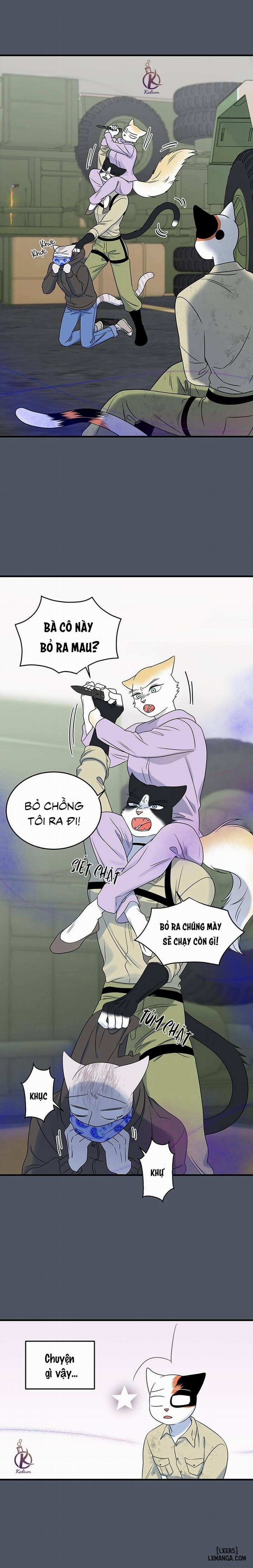 Dự án xanh 41 trang 14