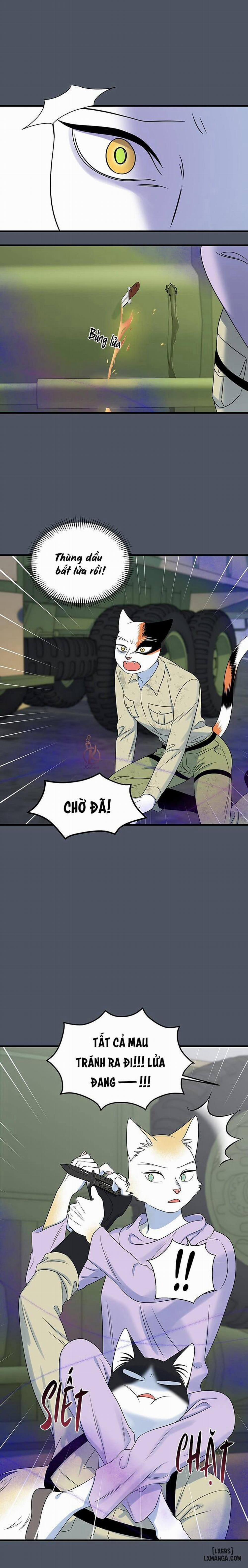 Dự án xanh 41 trang 15