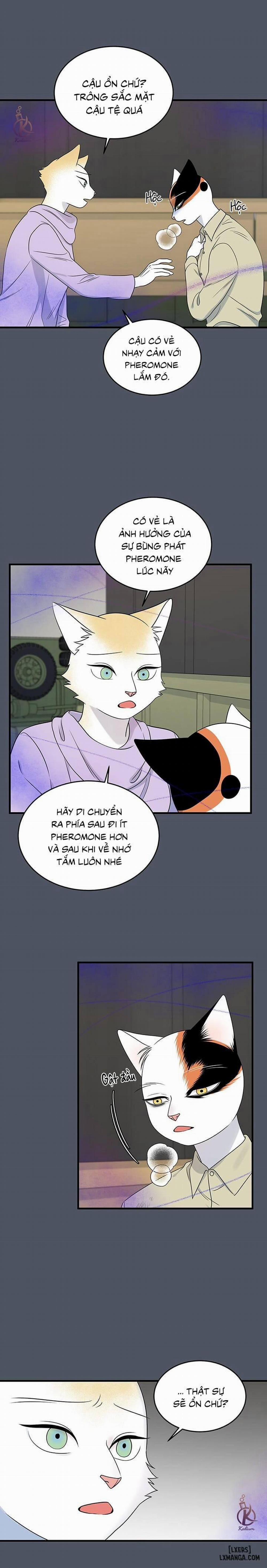 Dự án xanh 41 trang 2