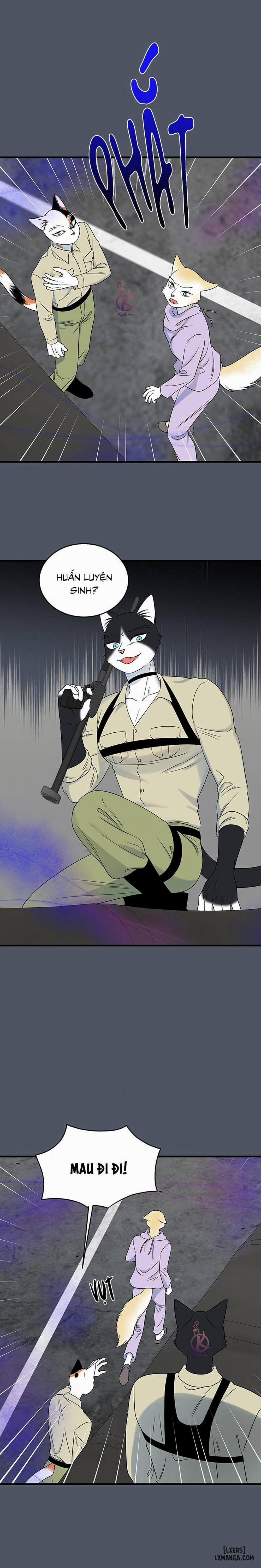 Dự án xanh 41 trang 4