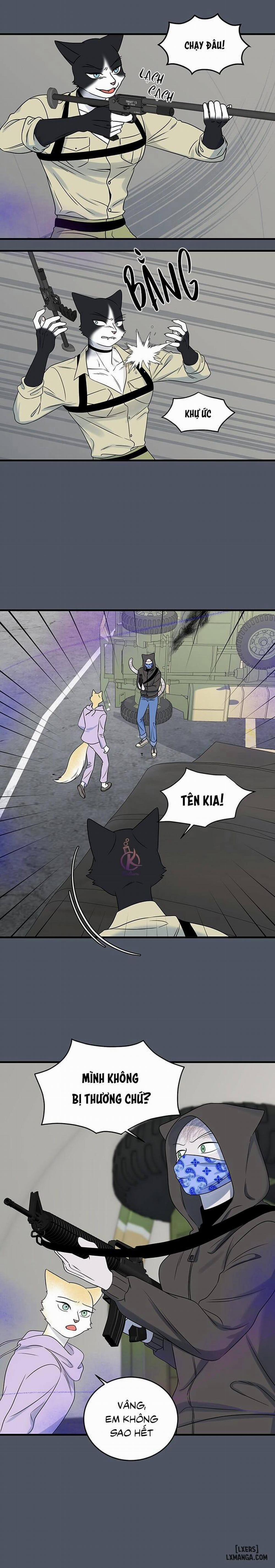 Dự án xanh 41 trang 5