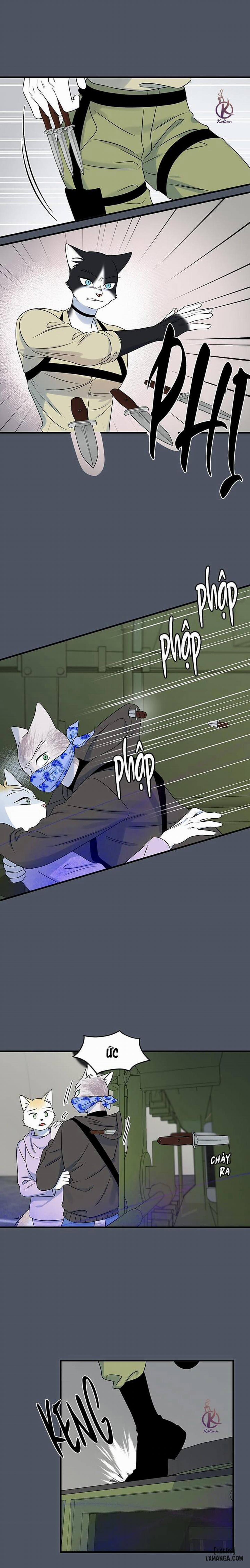 Dự án xanh 41 trang 6