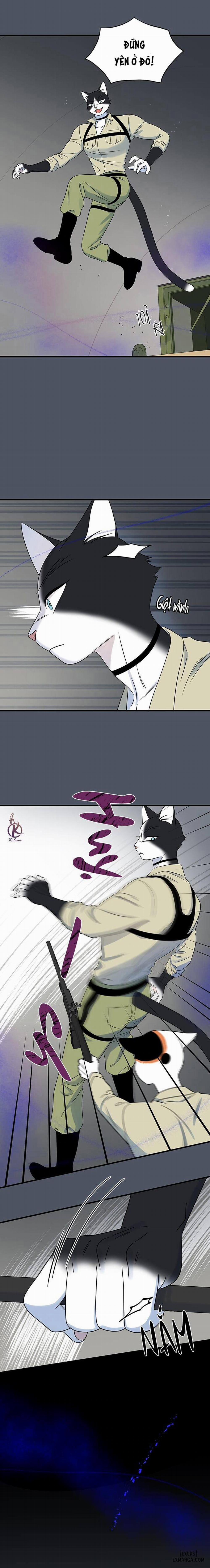 Dự án xanh 41 trang 7