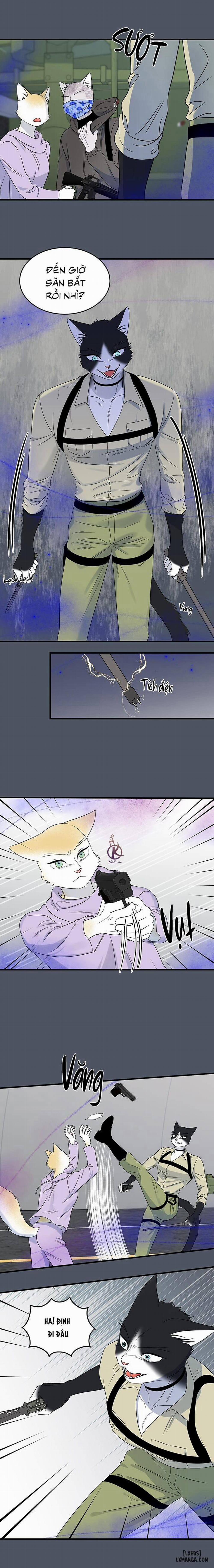 Dự án xanh 41 trang 9