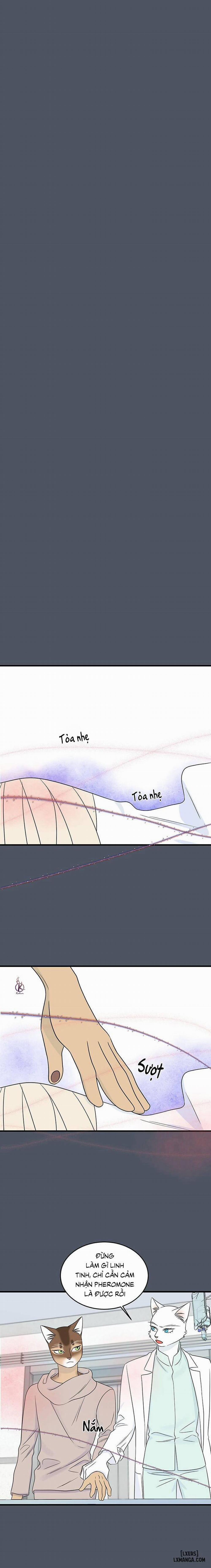 Dự án xanh 42 trang 11