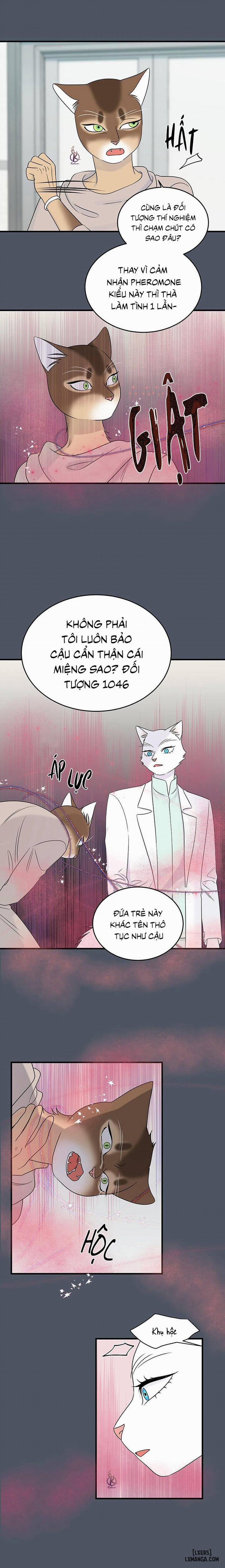 Dự án xanh 42 trang 12