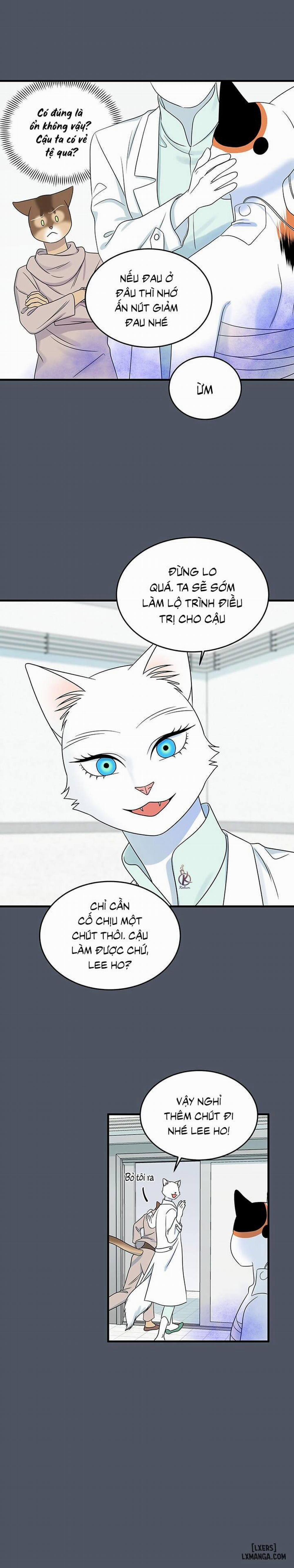 Dự án xanh 42 trang 14