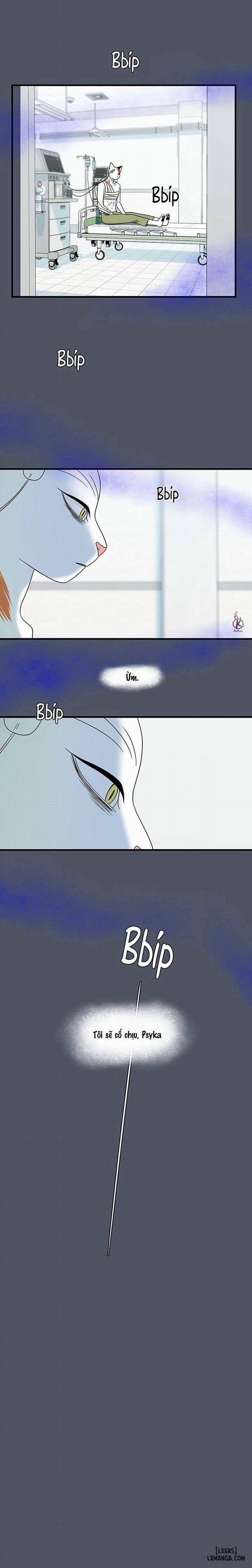 Dự án xanh 42 trang 15