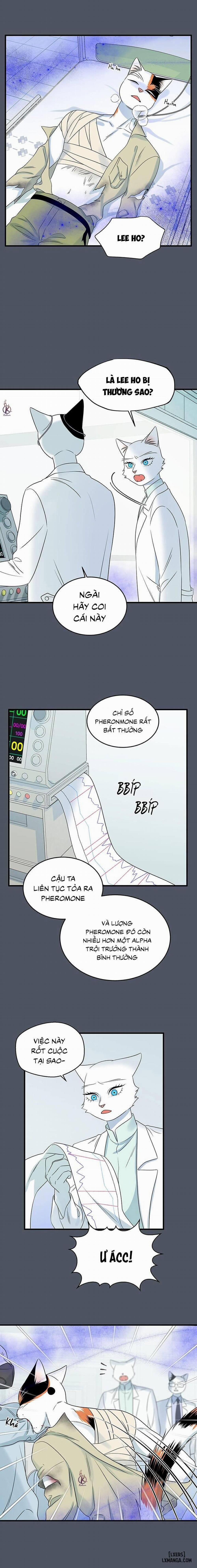 Dự án xanh 42 trang 2