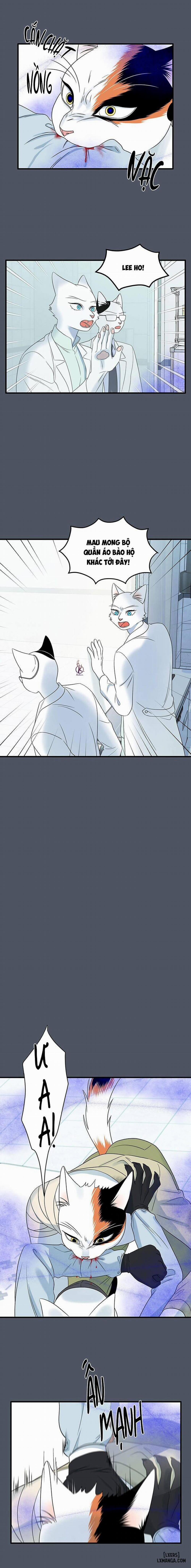 Dự án xanh 42 trang 3