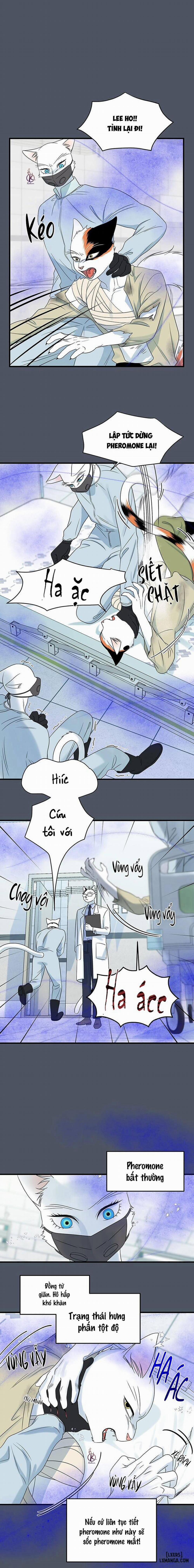 Dự án xanh 42 trang 4