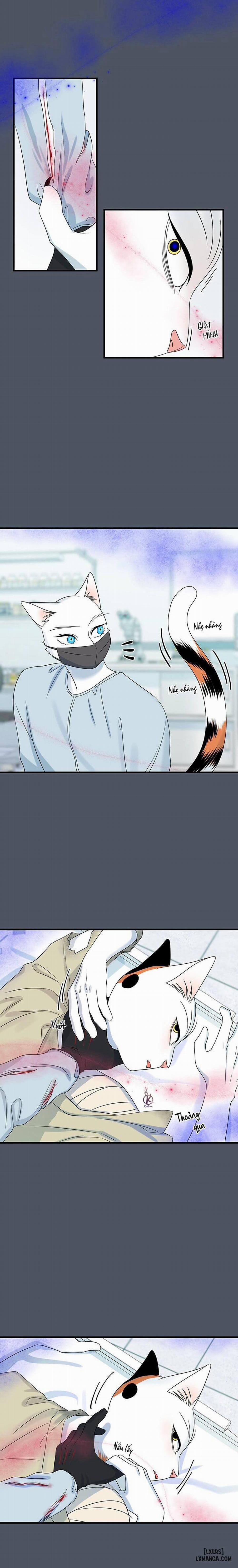 Dự án xanh 42 trang 5