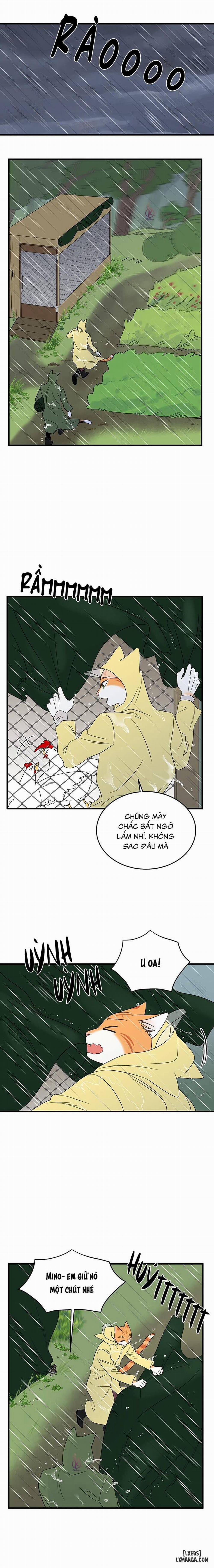 Dự án xanh 43 trang 10