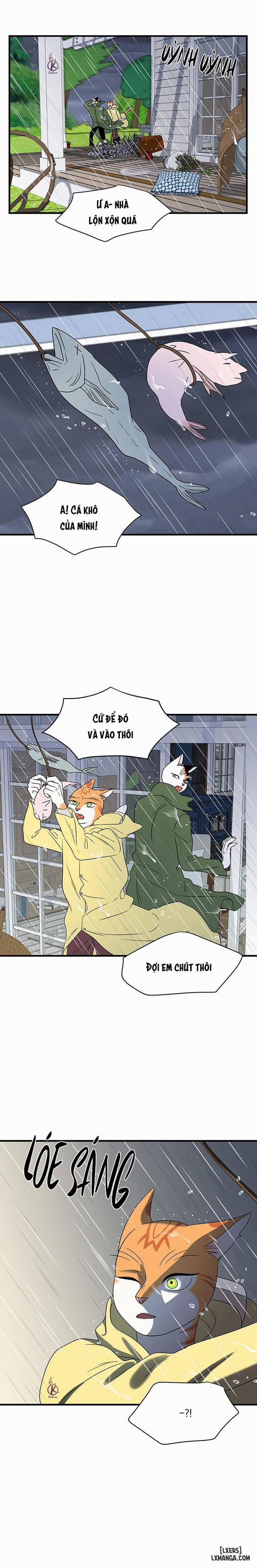 Dự án xanh 43 trang 12