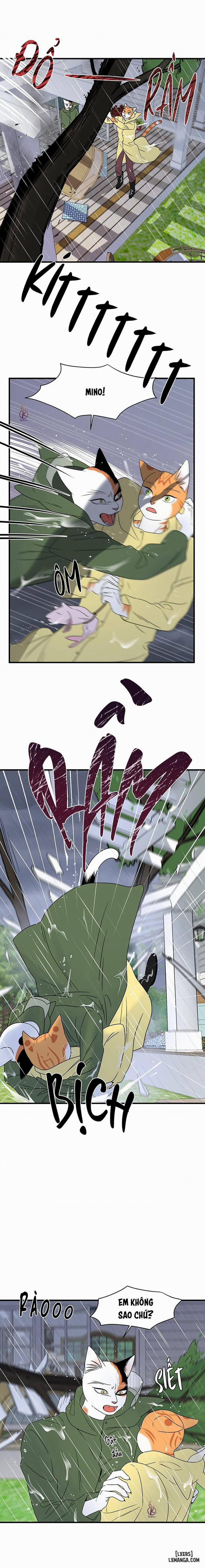 Dự án xanh 43 trang 14