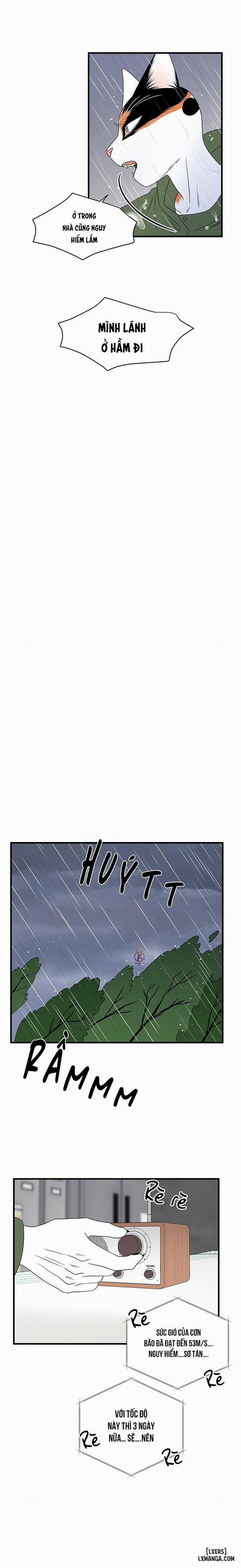 Dự án xanh 43 trang 15