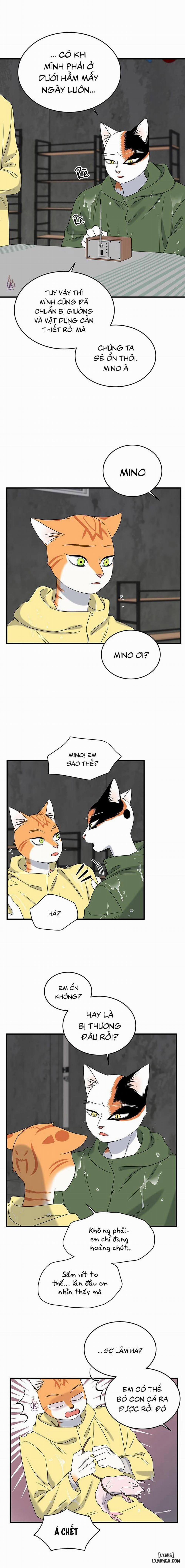 Dự án xanh 43 trang 16