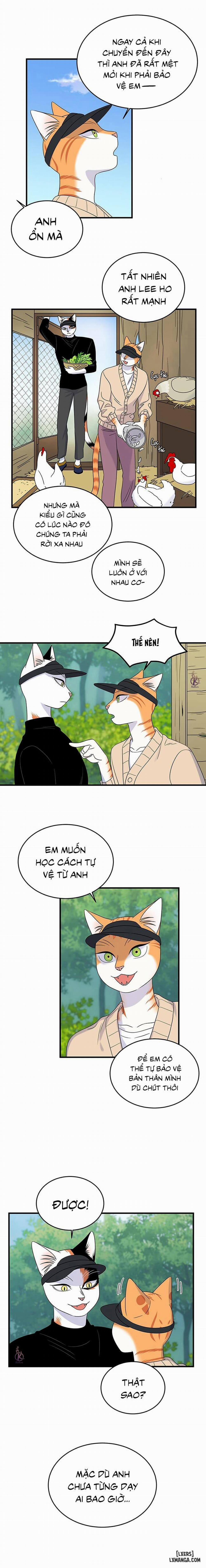 Dự án xanh 43 trang 3