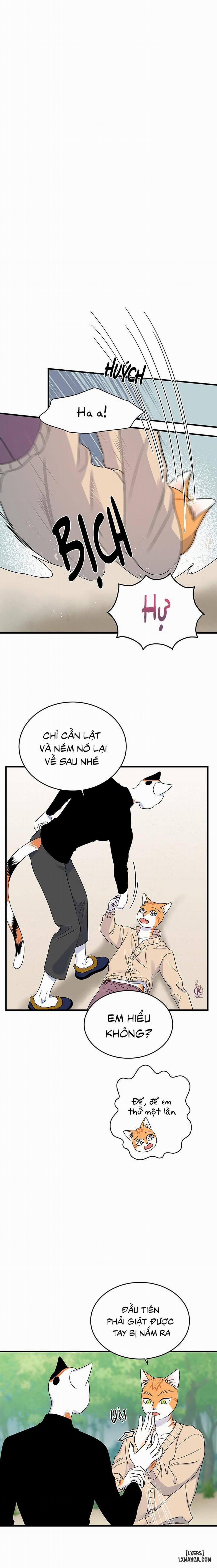 Dự án xanh 43 trang 4