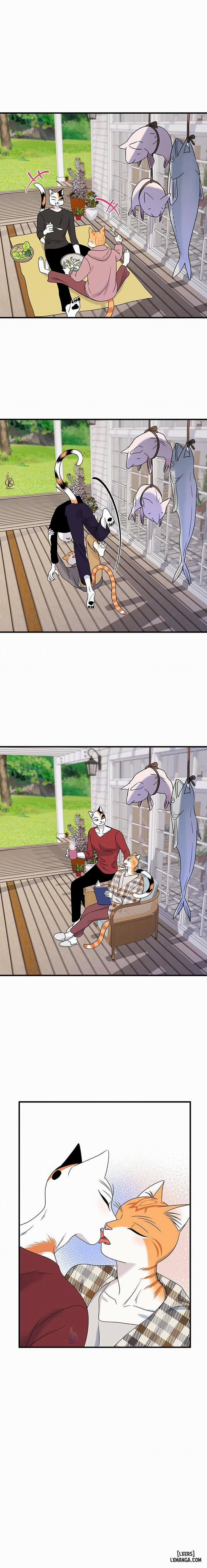 Dự án xanh 43 trang 8