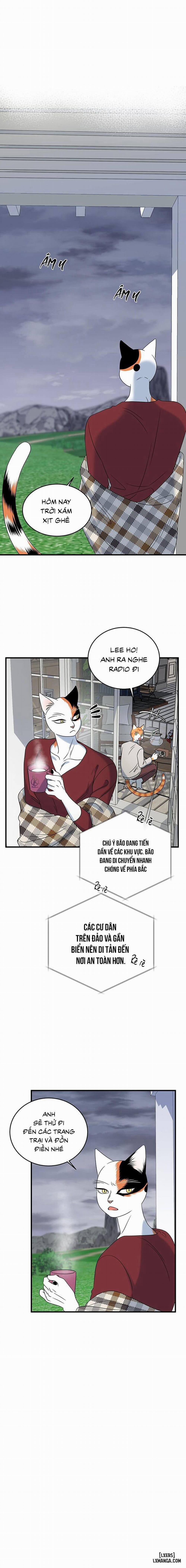 Dự án xanh 43 trang 9