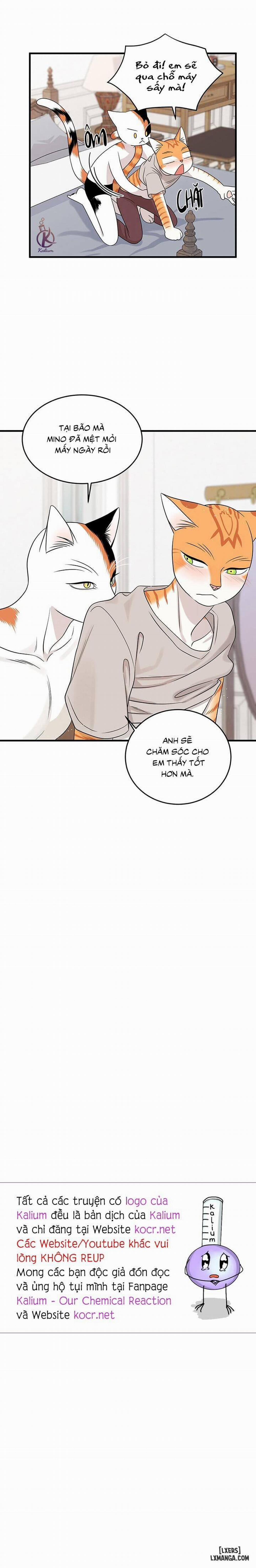 Dự án xanh 44 trang 15