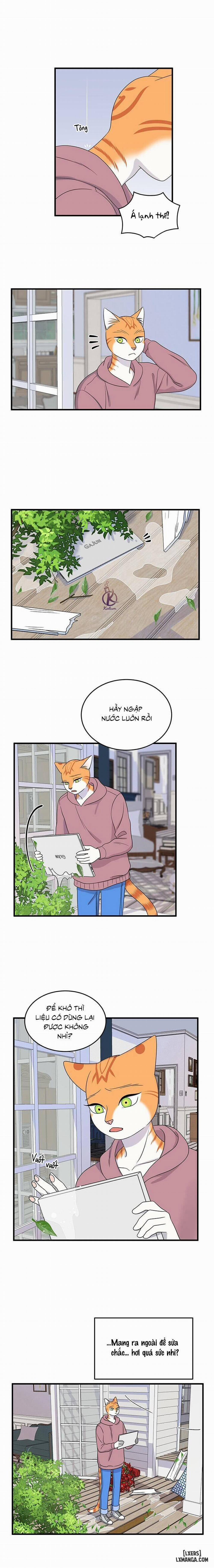 Dự án xanh 44 trang 6