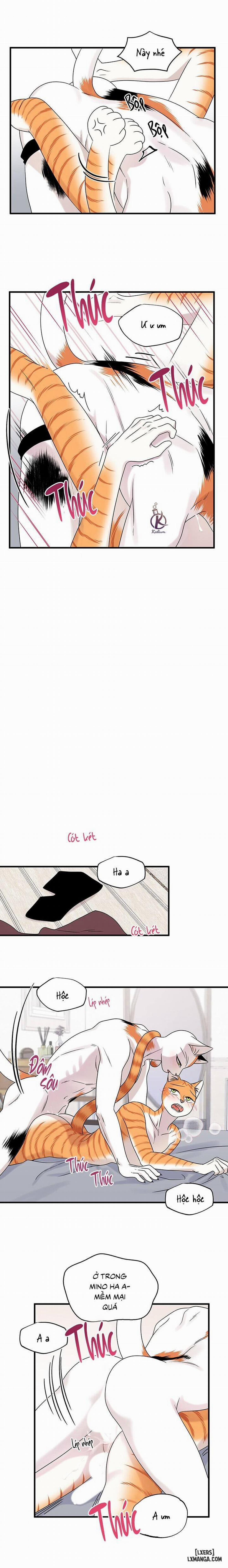 Dự án xanh 45 trang 12