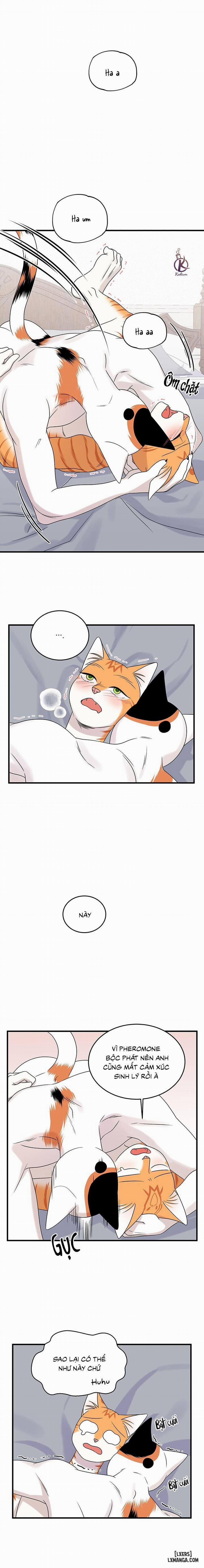 Dự án xanh 45 trang 15