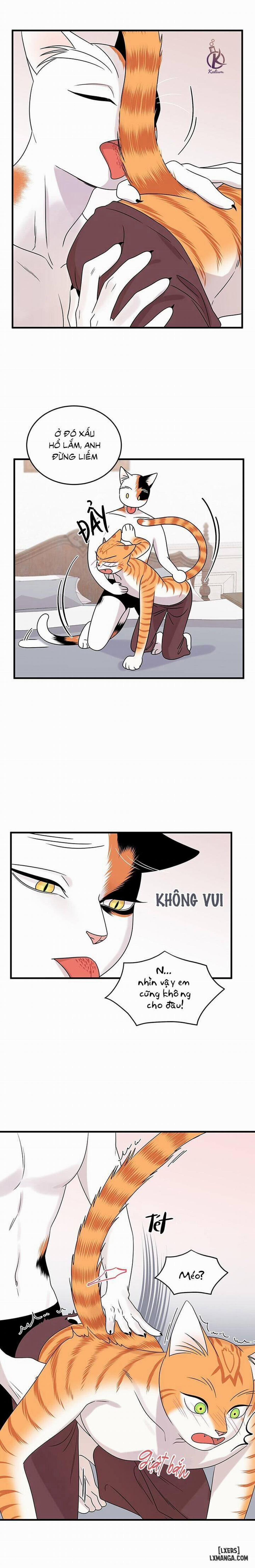 Dự án xanh 45 trang 4