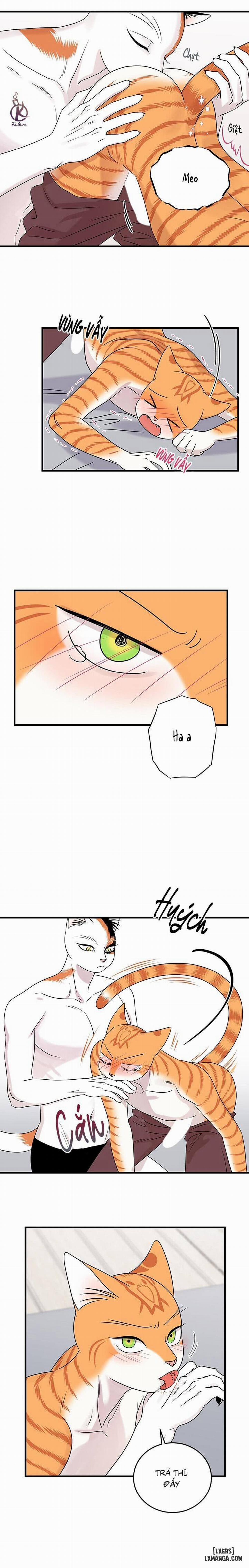 Dự án xanh 45 trang 6