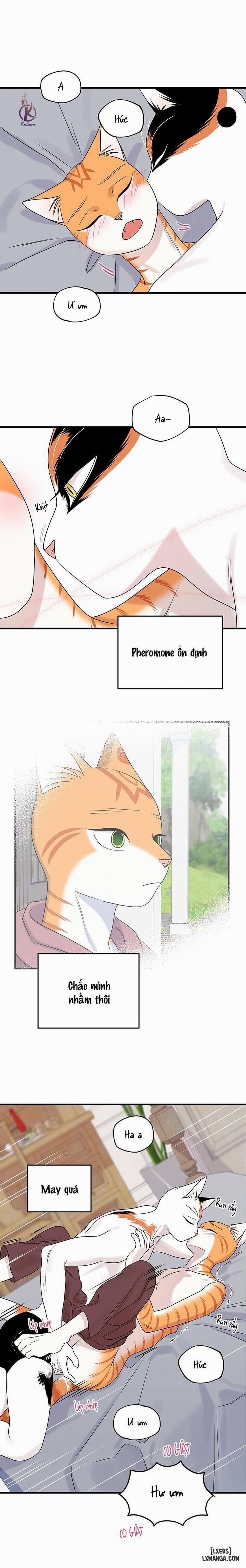 Dự án xanh 45 trang 8