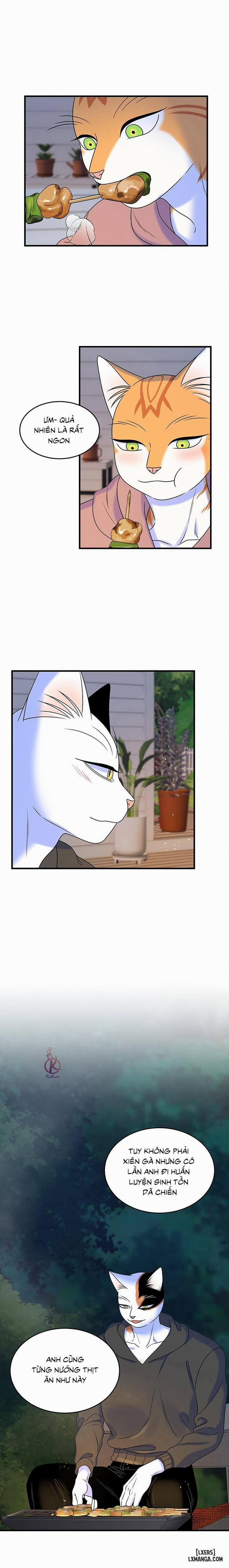 Dự án xanh 46 trang 11