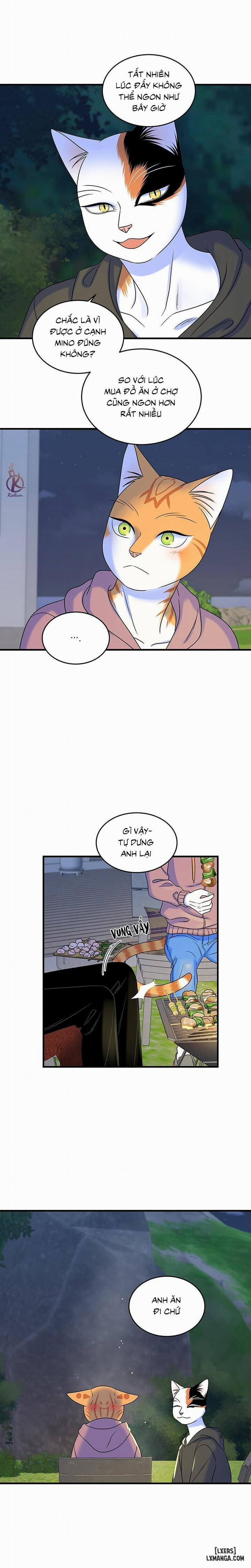 Dự án xanh 46 trang 12