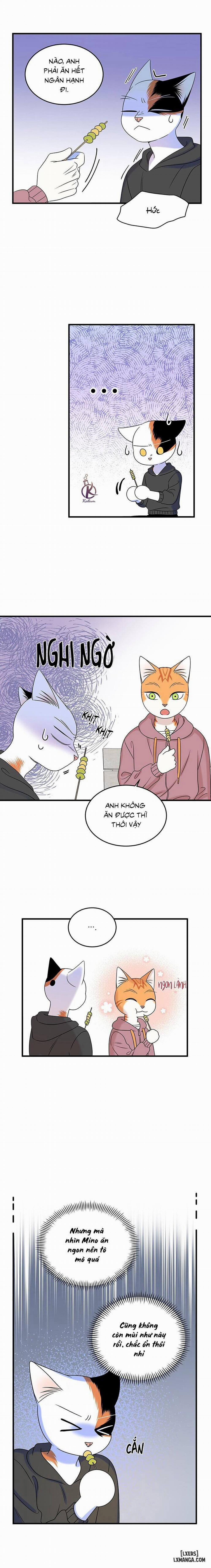 Dự án xanh 46 trang 13